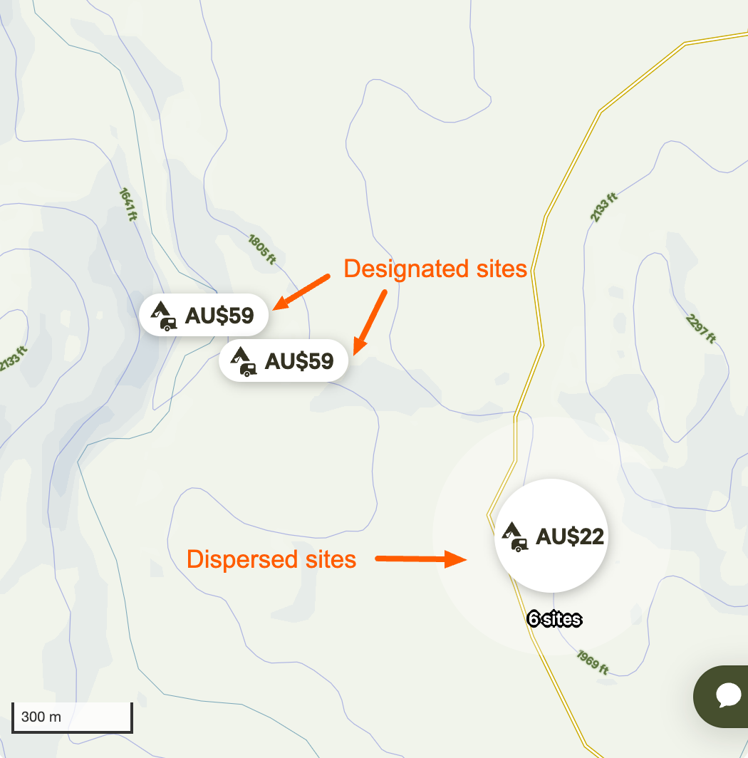 Designated vs dispersed site pins.png