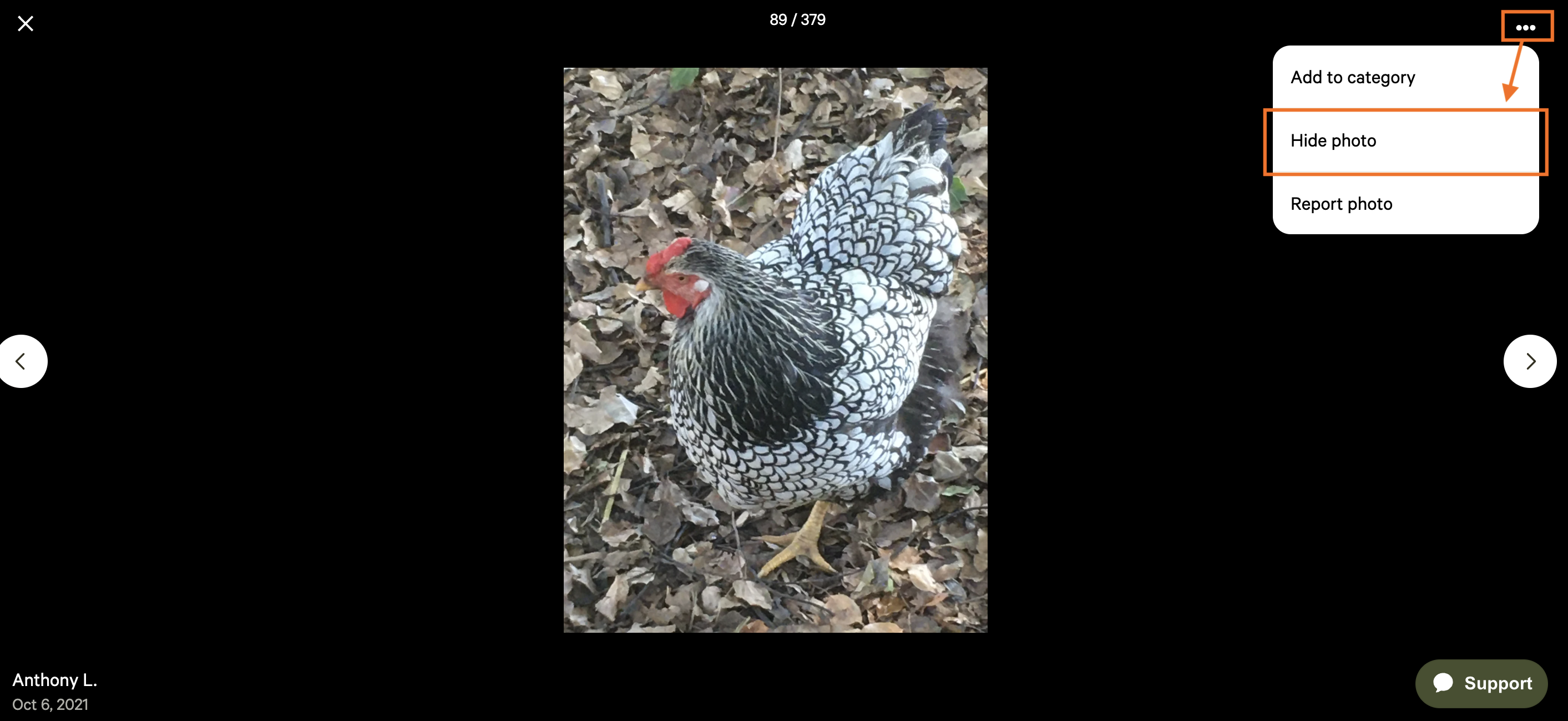 Hide photo - public property page.png