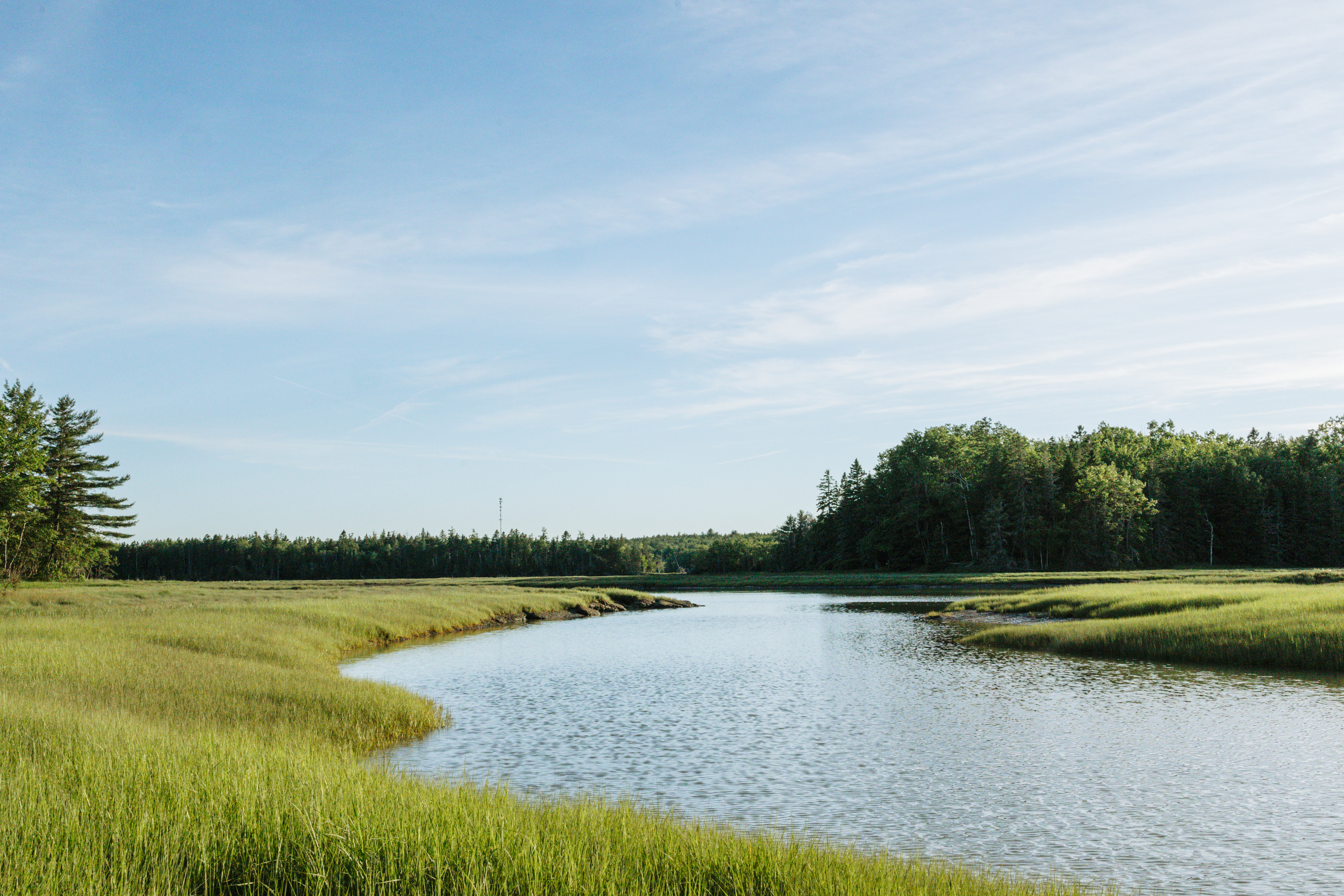 river view marsh.jpg