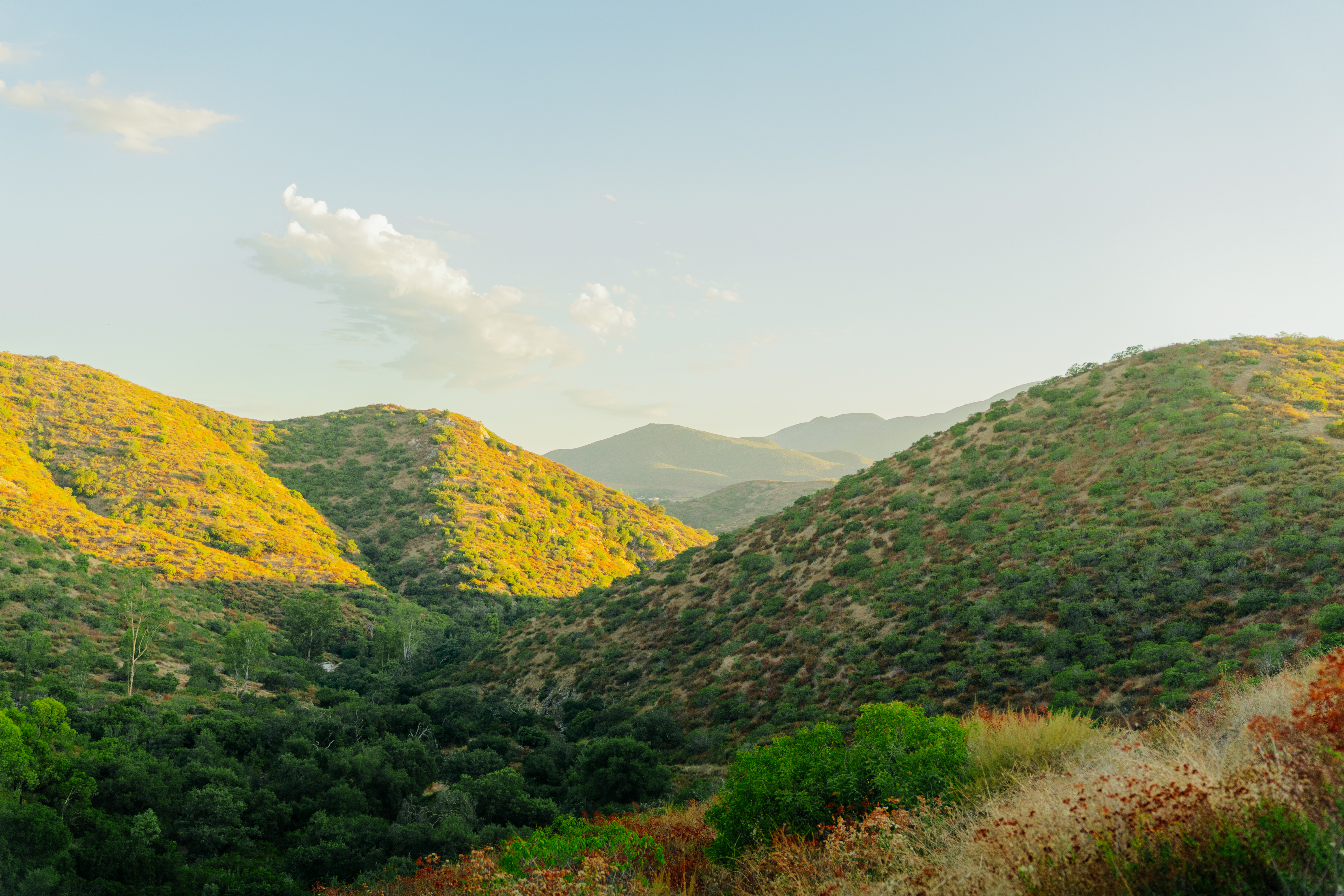 mountain views .jpg